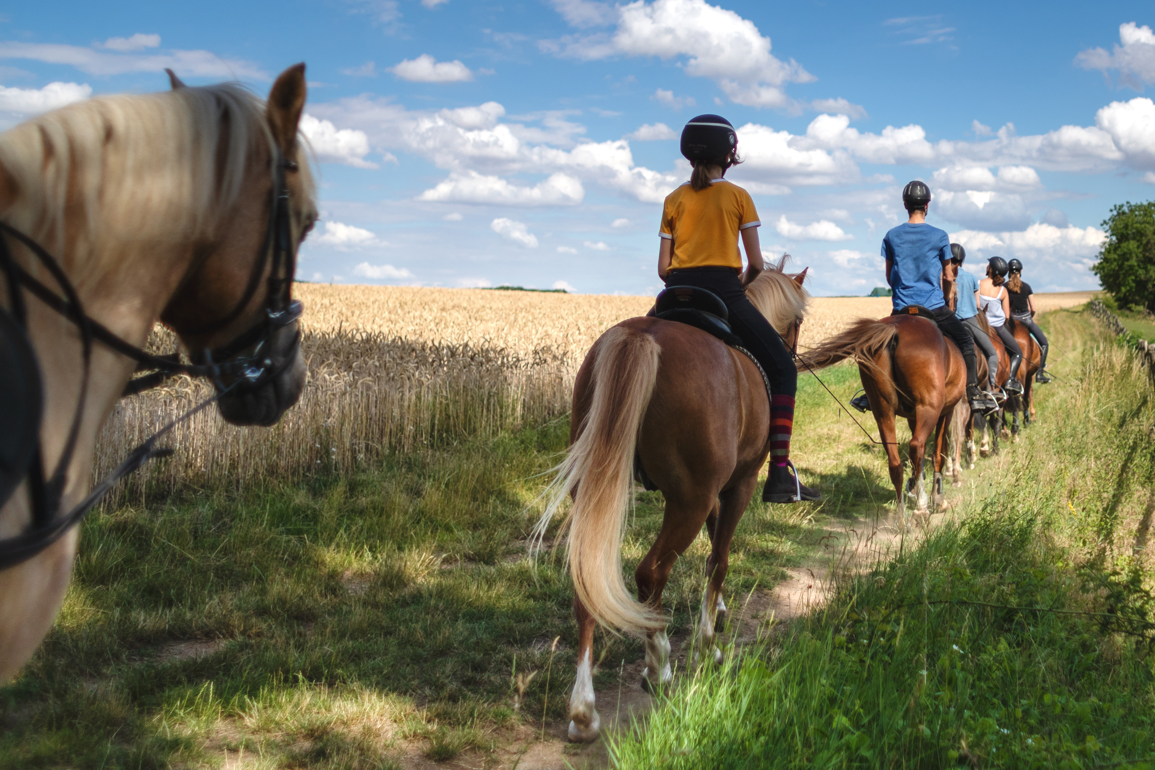 Trail Rides