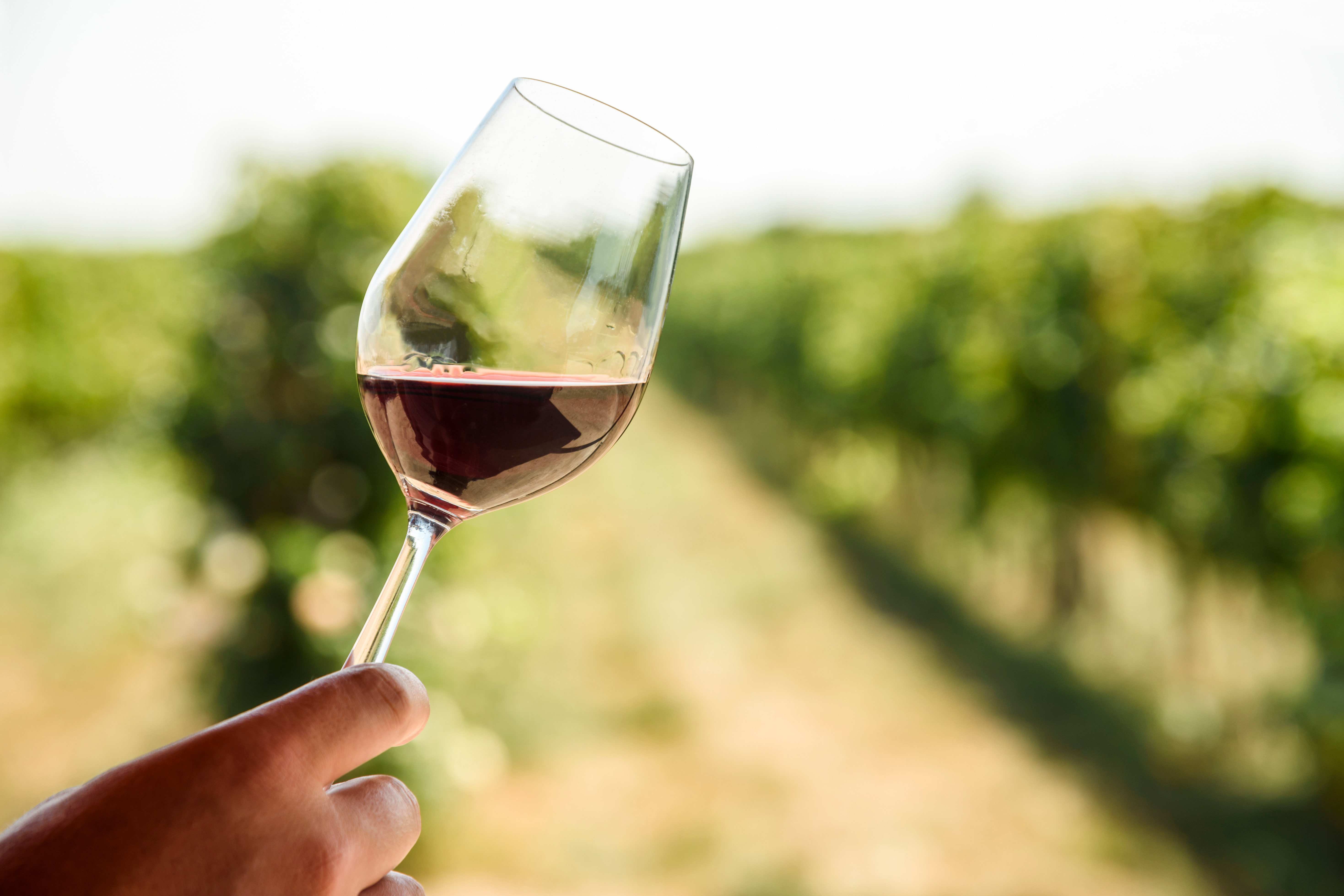 Vineyards
