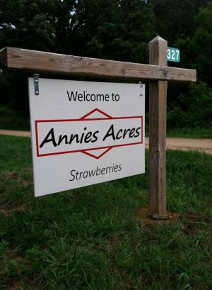 annie's acres sign