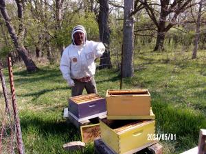 local honey for sale 