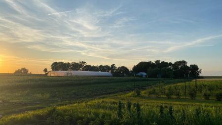The sunset over Puffer Roske Farm High Tunnel green houses and fields.