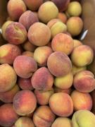 Georgia peaches at Cortum Farm &amp; Co