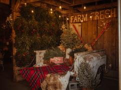 Holiday Happenings at Cortum Farm &amp; Co