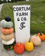 Pumpkin season at Cortum Farm &amp; Co
