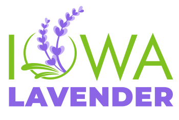 Iowa Lavender Logo