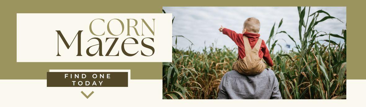 Banner image of a little boy pointing at corn while on an adult's shoulders with text that says: "Corn Mazes. Find one today".