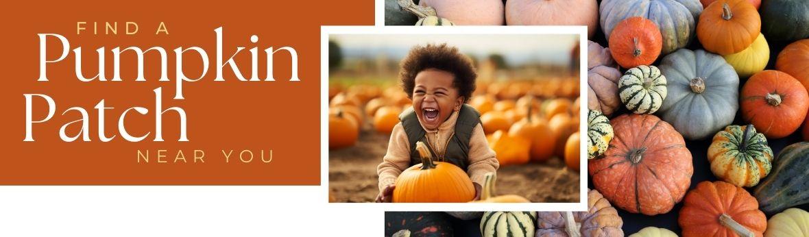 Banner image of pumpkins in the background with a little boy excited about picking out his pumpkin with text that says "Find a pumpkin patch near you".