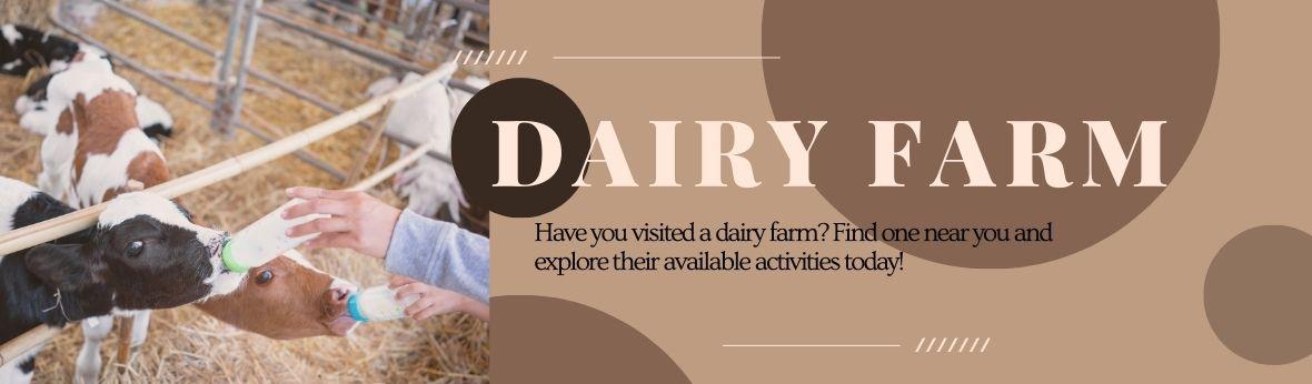 Find a dairy farm today!