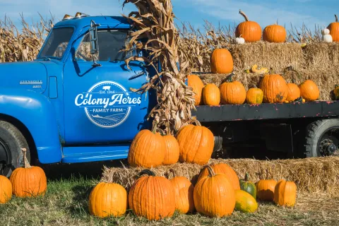 Colony Acres iconic blue truck with pumpkins