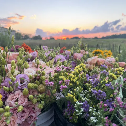 Bushels and Blooms Farm