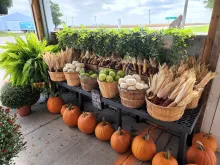 Vegetables at Slim's Country Market.