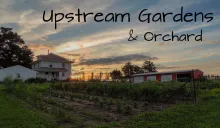 Upstream Gardens at sunset.