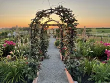 Bochner Farms Cottage Garden