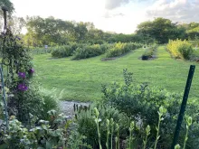 north view of reds in the summer