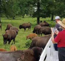 Hawkeye Buffalo Ranch